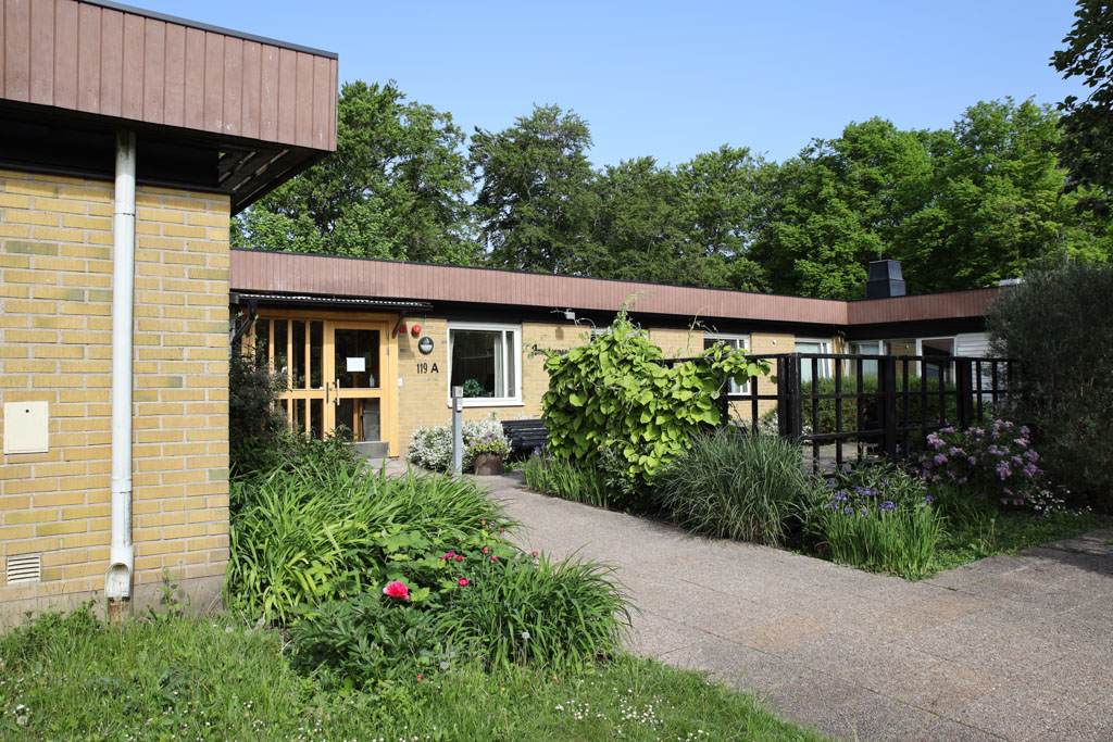 Det känns välkomnande när
entrén är omringad av växter och blommor. 