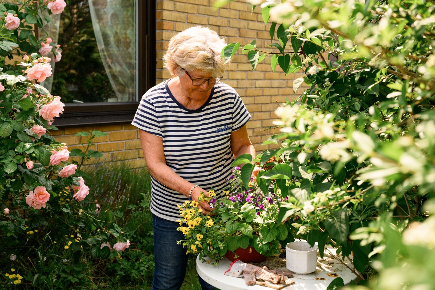 Kvinna i blå- och vitrandig t-shirt står i en trädgård med stora rosa blommande rosor och många mindre blommor. Hon rensar i en kruka med gula och lila penséer.