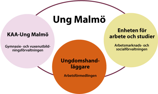 Tre cirklar i en oval visualiserar samverkansorganisationen UngMalmö. I första cirkeln, ljusrosa bakgrund innehåller texten KAA-Ung Malmö, gymnasie- och vuxenutbildningsförvaltningen. Cirkel nummer två, orange bakgrund, innehåller texten ungdomshandläggare, Arbetsförmedlingen. Den tredje och sista cirkeln, gul bakgrund innehåller texten enheten för arbete och studier, arbetsmarknads- och socialförvaltningen.
