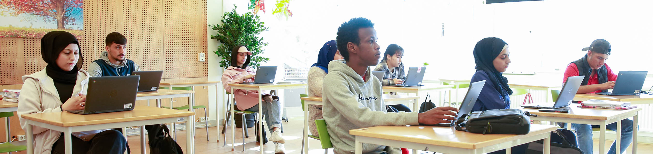 En grupp elever sitter i ett klassrum. Några tittar upp och ser ut att lyssna på en lärare. Andra jobbar fokuserat med skolarbete på dina datorer. 