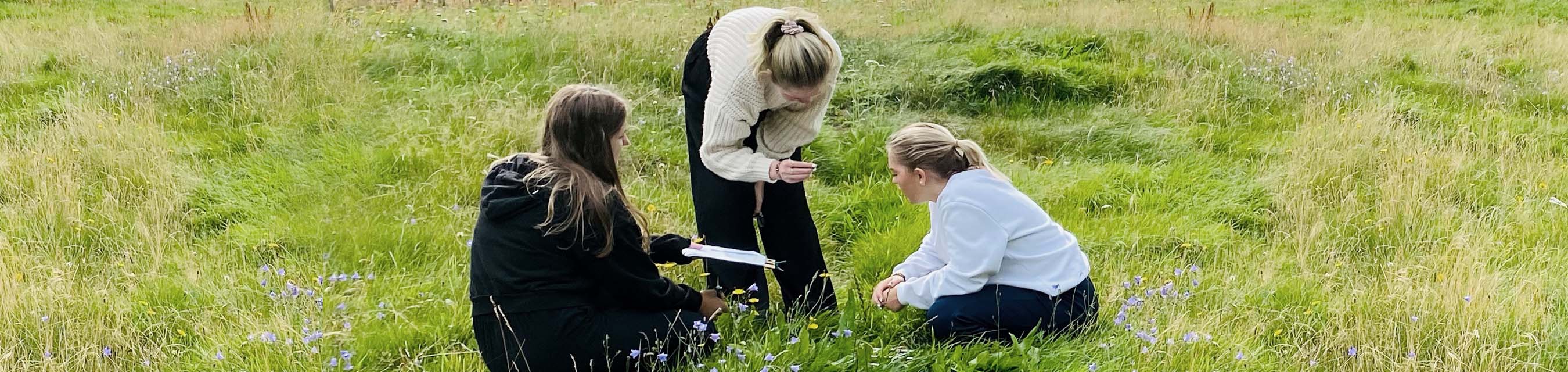 Tre elever undersöker växtlivet ute på en stor äng.