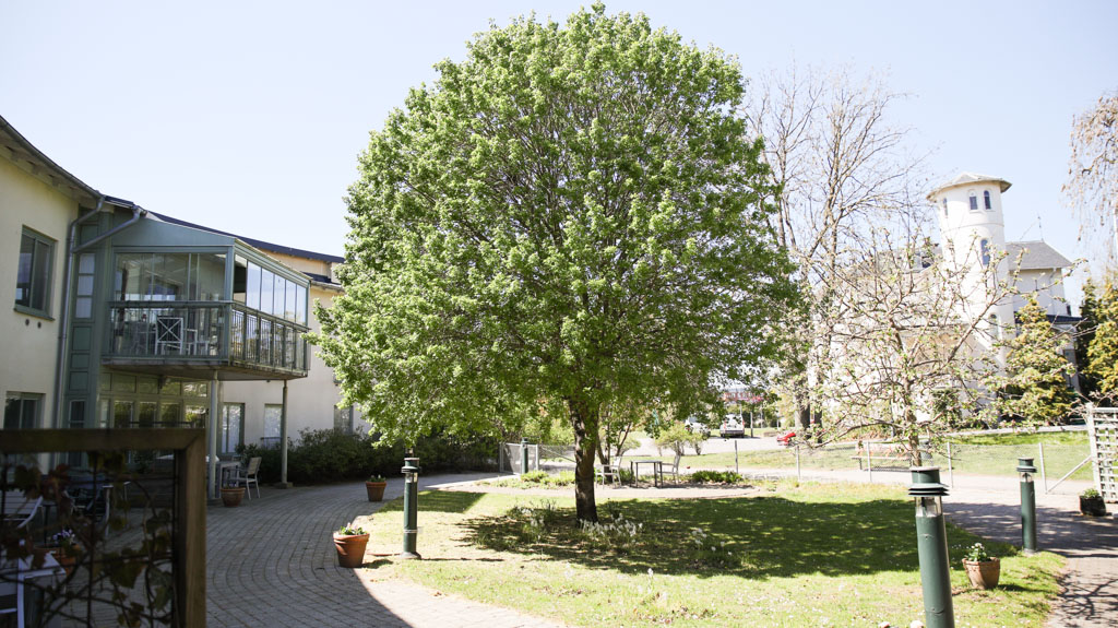 Ett stort grönt träd på baksidan av huset ger skugga under
varma dagar.