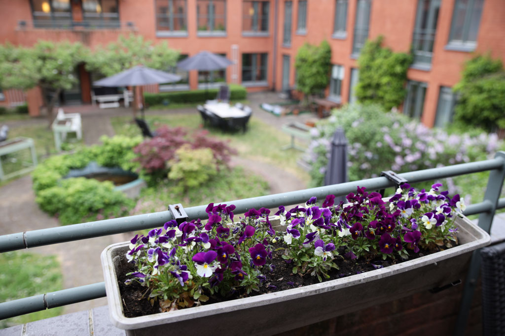 Perenner i olika lila nyanser har planterats för att göra balkongen fin.