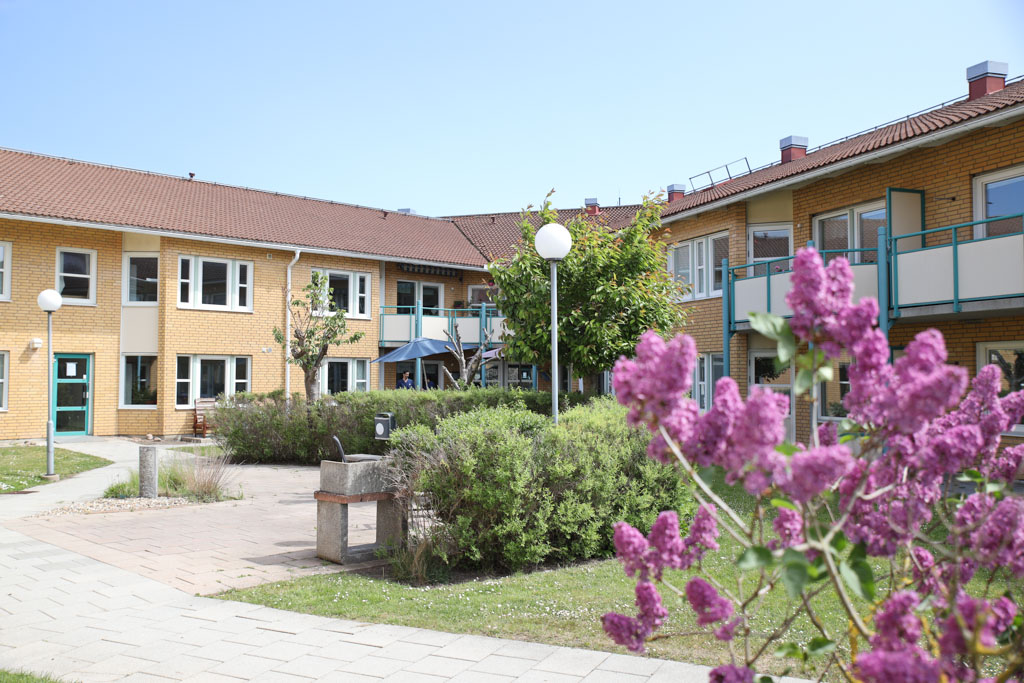 Ett gult tegelhus på två våningar syns bakom buskar och syrener en
somrig dag.