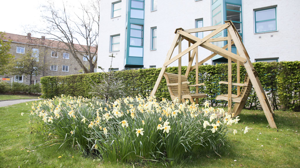 Det är vår och tulpanerna står i full blom framför hammocken i trä.
