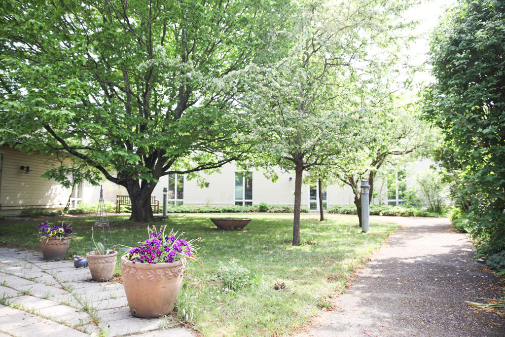 I trädgården finns gångstigar, gröna buskar och träd och planterade blommor i kruka.