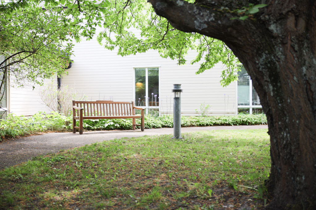 Det stora trädets grenar ger skugga åt en parkbänk. Här kan man sätta sig och vila en stund efter sin promenad.