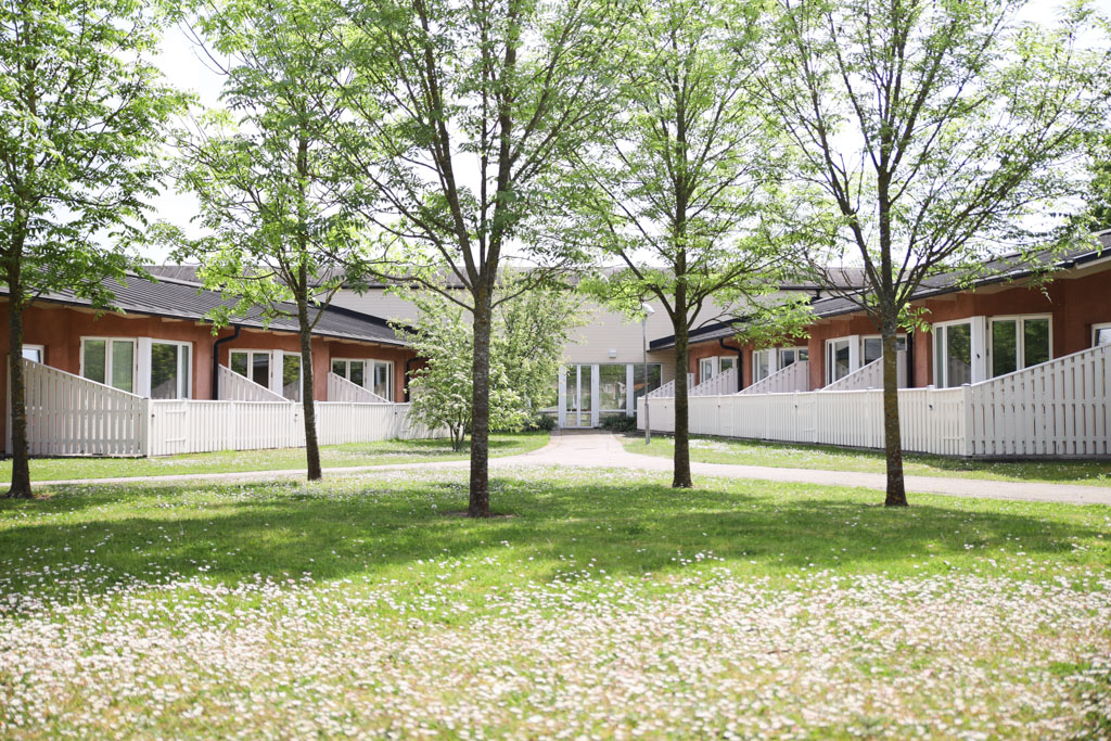 Från husets uteplatser kan man se trädgårdens gräsmatta som är täckt med vita blommor och unga träd.