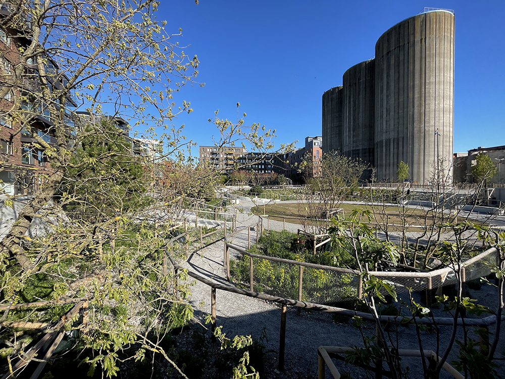 Sjöscoutsparken med planteringar och sittplatser