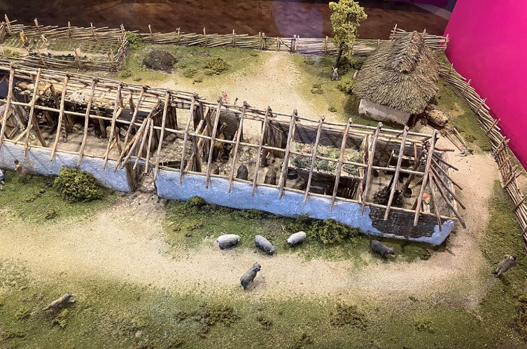 Miniatyrmodell av avlångt hus och omgivande gård från järnåldern.  