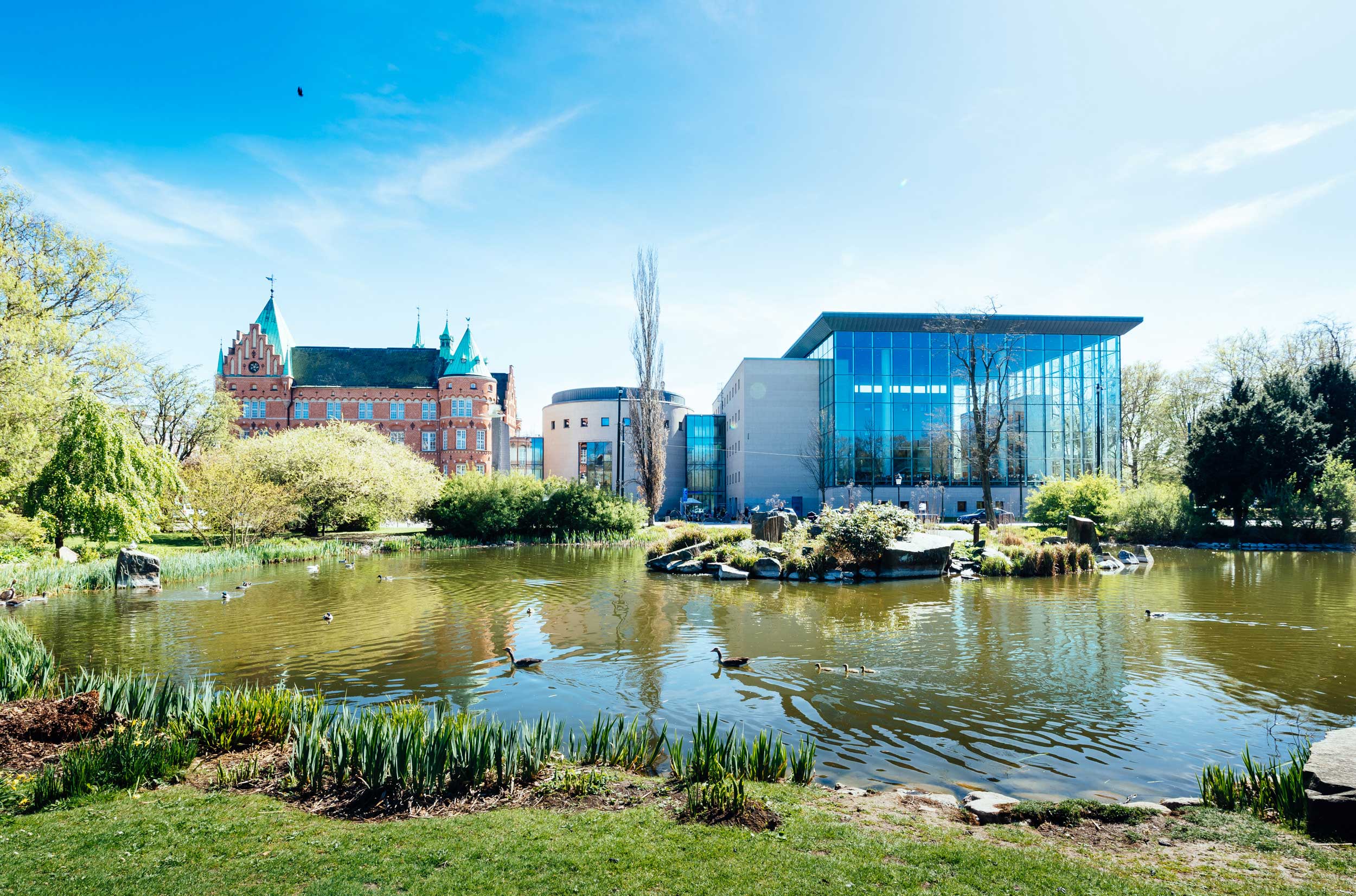 bild på stadsbiblioteket i Malmö. I förgrunden en damm med växtlighet runt. 