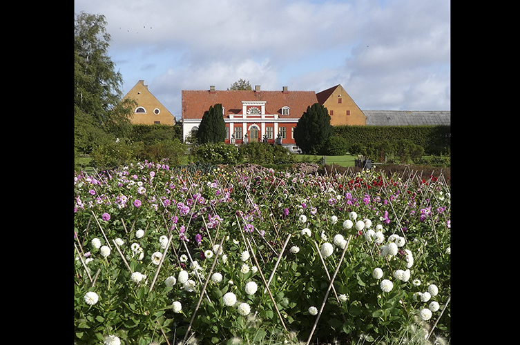 Fotografi på massor av blommor i vitt, lila och rött i rabatter framför byggnaden Katrinetorp. 