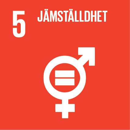 Mål 5: Jämställdhet