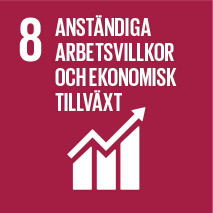 Mål 8: Anständiga arbetsvillkor och ekonomisk tillväxt