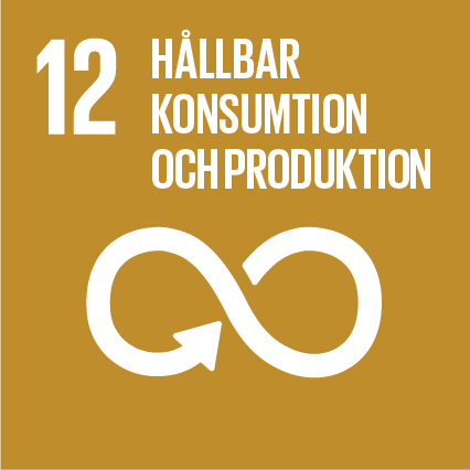 Mål 12: Hållbar konsumtion och produktion