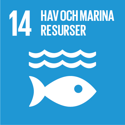 Mål 14: Hav och marina resurser