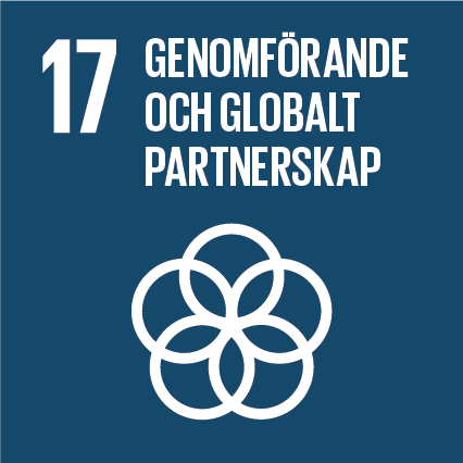 Mål 17: Genomförande och globalt partnerskap