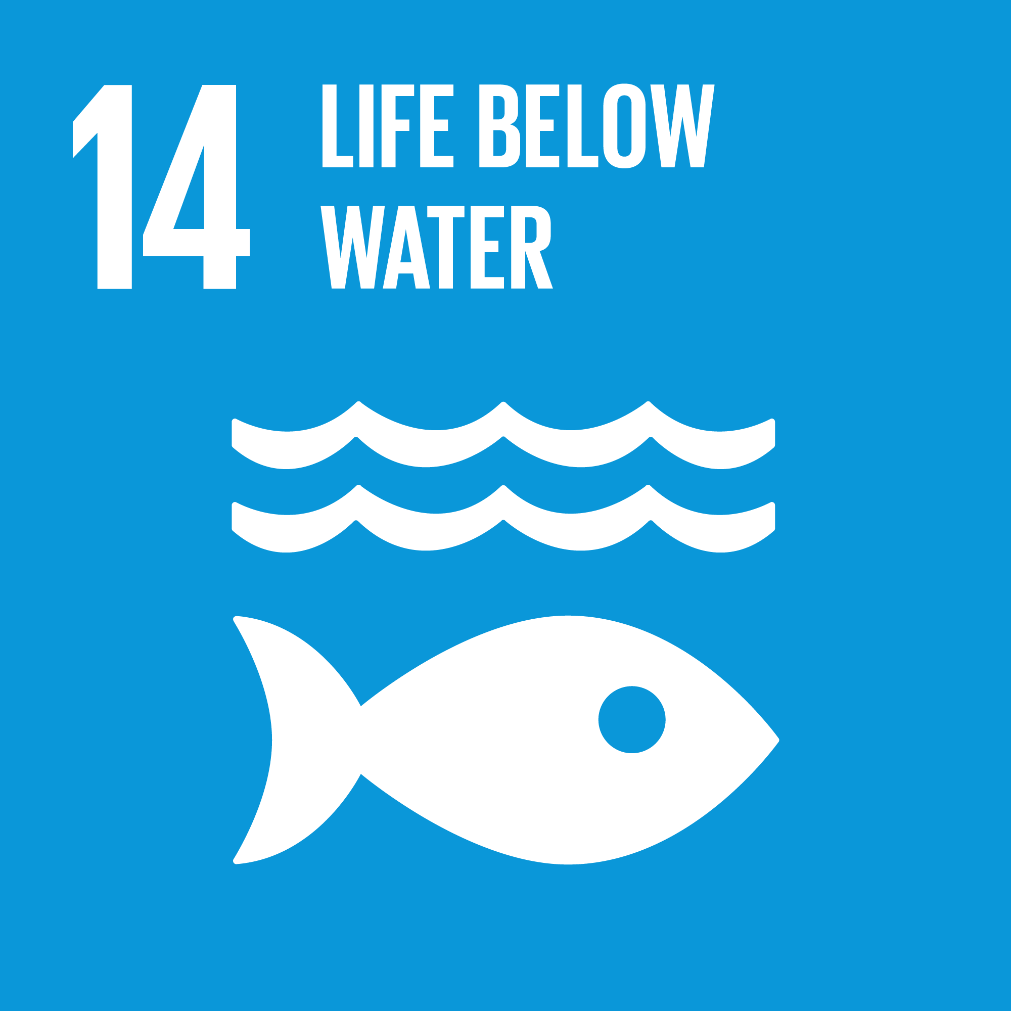 Goal 14: Life below water