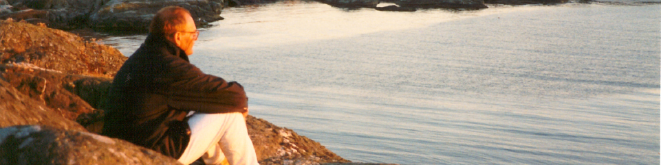 Man som tittar ut över havet.