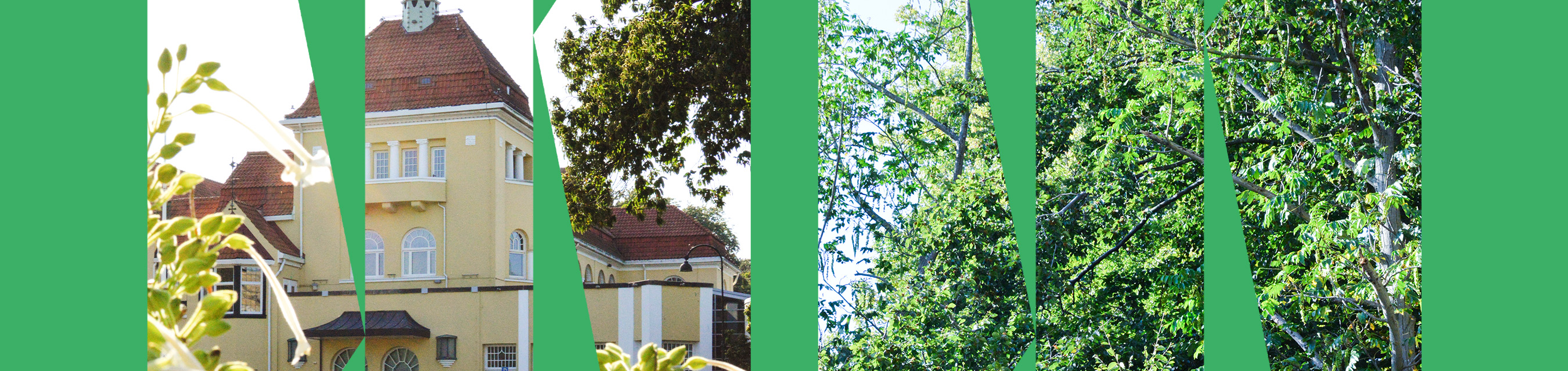 Bild från Kungsparken i Malmö. På bilden syns också bygganden där konstmuseet kommer att vara under 2025. 