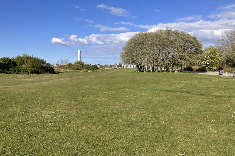 Större glönyta med gräs nära stranden, i bakgrunden kan man se Turning torso härifrån. 