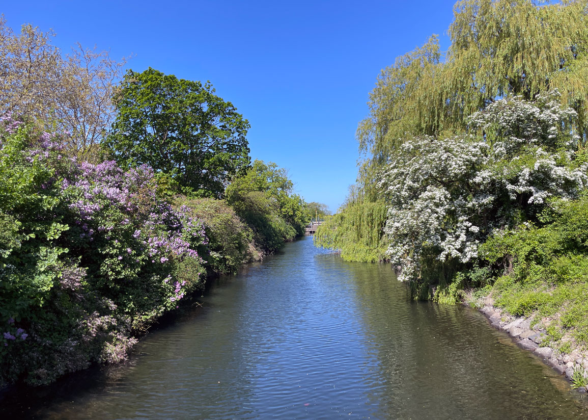 Vy från Turbinbron över en del av Turbinkanalen i Malmö, med träd och blommande buskar, blå himmel och den gamla järnvägsbron svagt skymtande i bakgrunden..