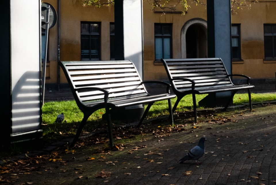 Sittbänkar och duvor i Kristianstadsrondellen