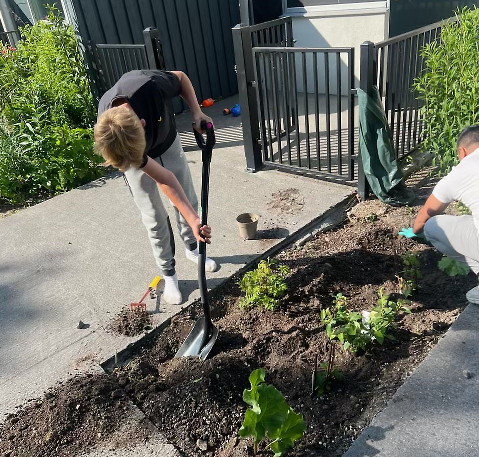Leo gräver i ett trädgårdsland vid boendet tillsammans med Mustafa