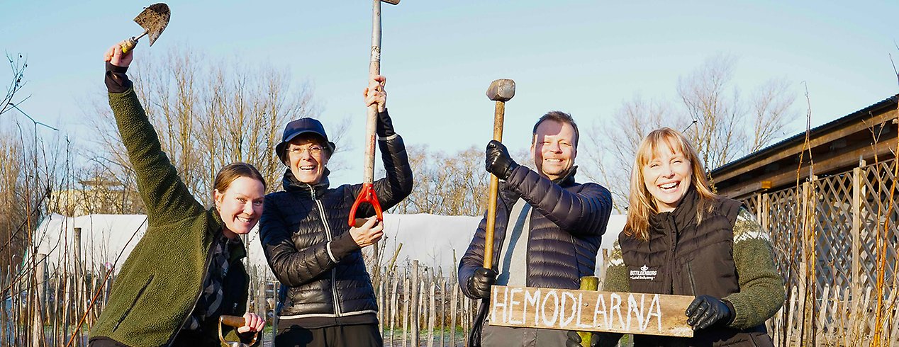 Fyra personer står i en trädgård och håller i trädgårdsredskap samt en träskylt som det står Hemodlarna på. 