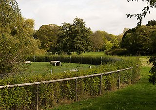 Hundrastplats med staket runtom