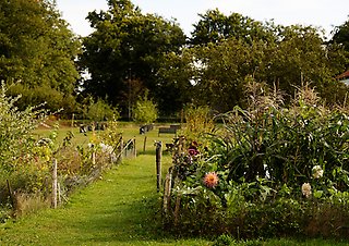 Odlingslådor med blommor och grönsaker, frukträd i bakgrunden