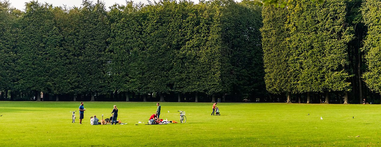 Tallriken, den stora gräsytan i Pildammsparken. 