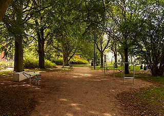 Ett utegym med redskap bland höga träd