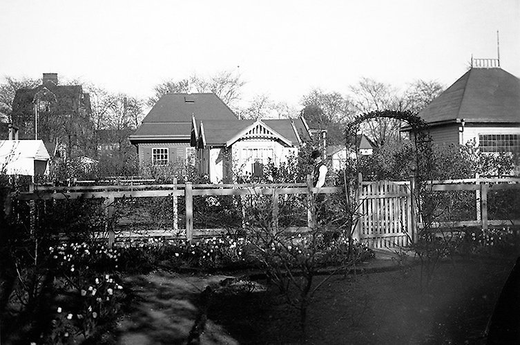 Stadens koloniträdgårdar, Johanneskolonierna, 1913. Foto: Viktor Roikjer / Malmö museum.