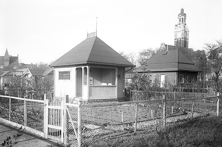 Stadens koloniträdgårdar, Johanneskolonierna, 1913. Foto: Viktor Roikjer / Malmö museum.