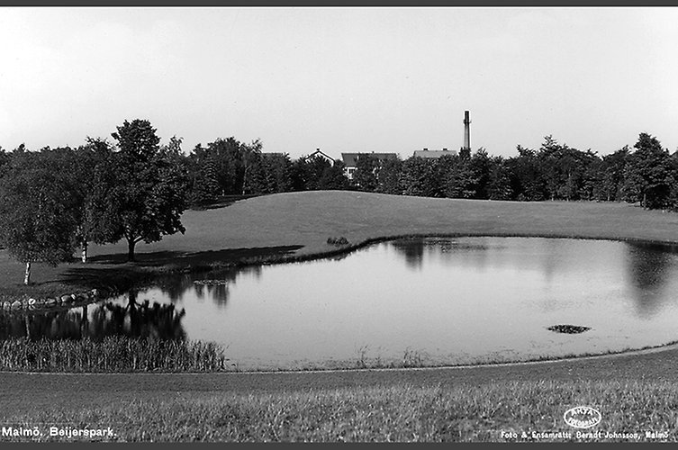 Svartvitt foto av en damm i parkmiljö.