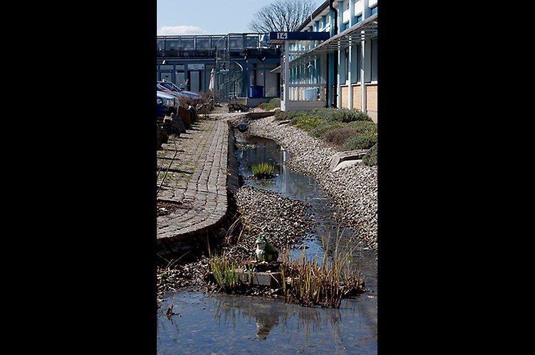 En kanal med vatten i ett bostadsområde.
