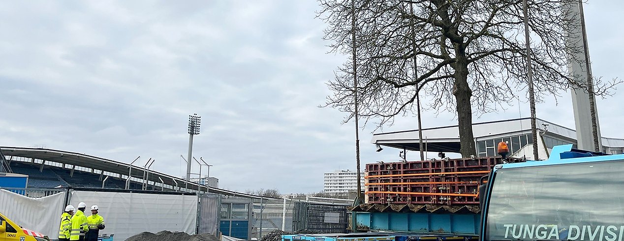 Valnötsträdet lyfts upp på vagn