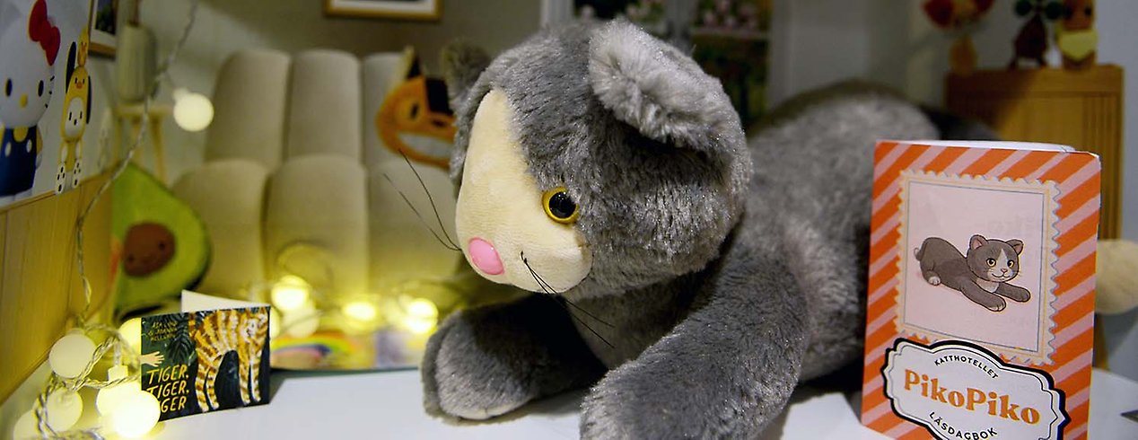 PikoPiko är en av katterna på Katthotellet.