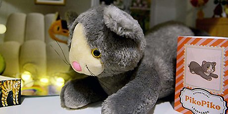 PikoPiko är en av katterna på Kaninis katthotell.