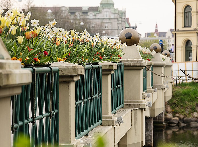 Blomsterutsmyckning på en av kanalbroarna i Malmö.