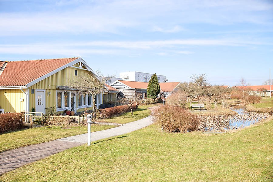 En solig vy över ljusgula hus med röda tak omgivna av gröna gräsmattor. En vindlande gångstig leder förbi en liten damm.