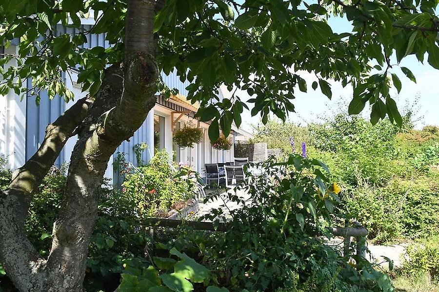 Grönskande trädgård och terrass synlig genom lövverk.