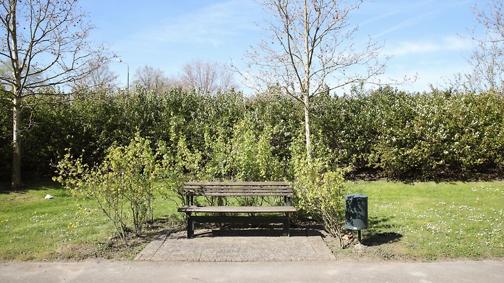 En parkbänk ger dig vila under promenaden och möjlighet att njuta av
solens strålar mot ansiktet.