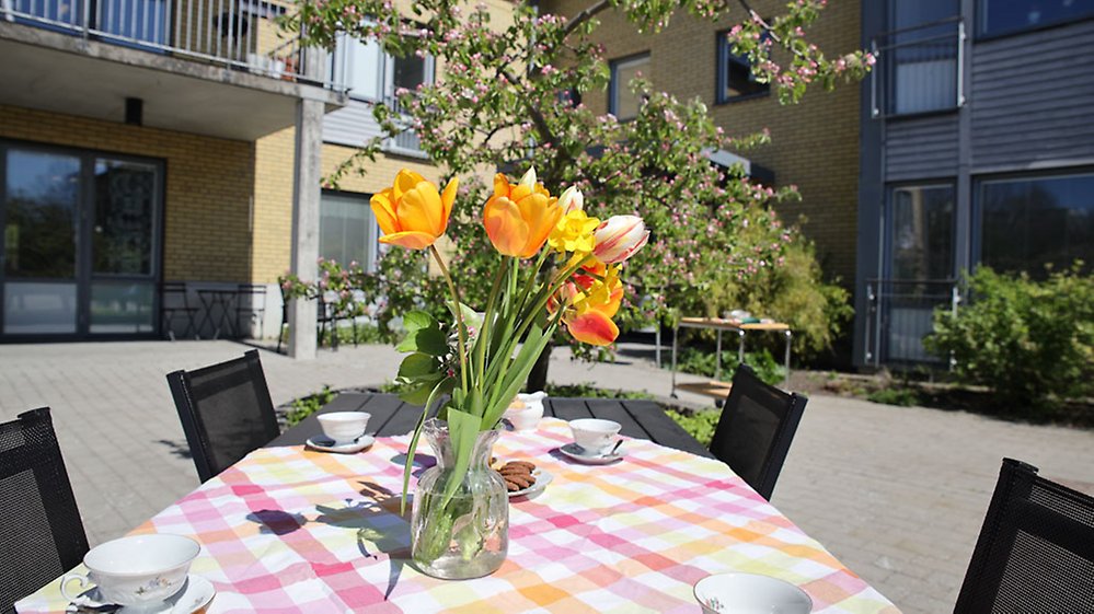 Buketter av knoppande kvistar från trädgårdens äppelträd och
tulpaner kan man njuta av till fikastunden utomhus.