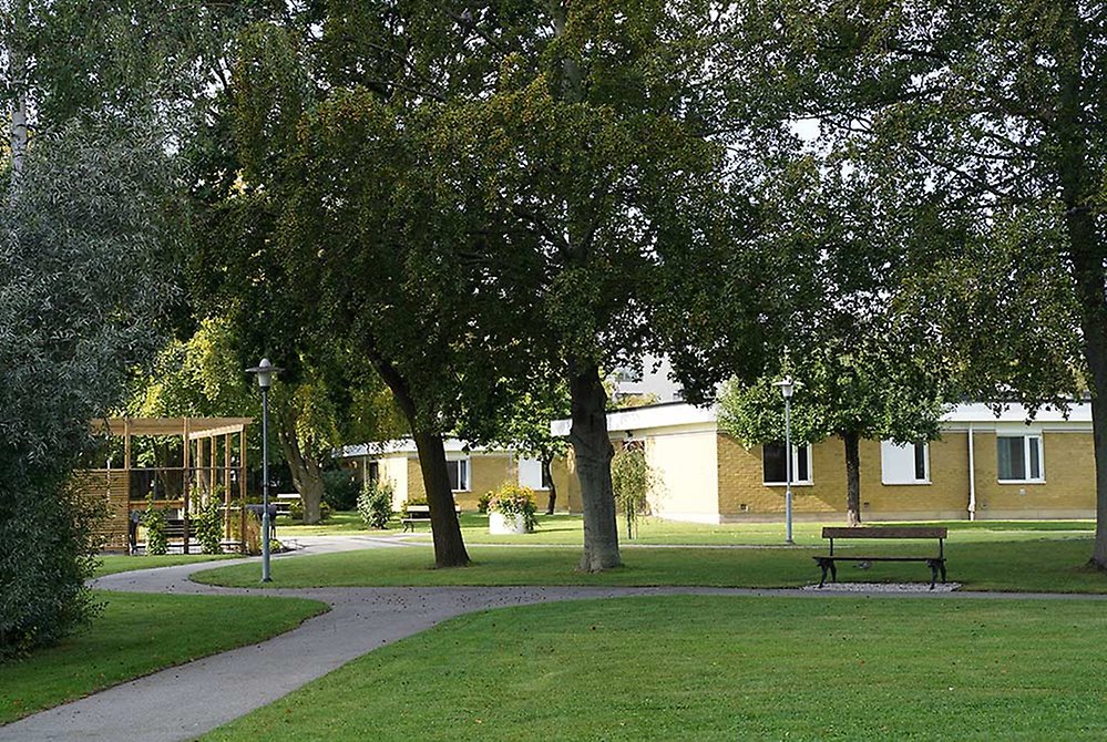 I trädgården reser sig de stora träden längs med promenadslingan.