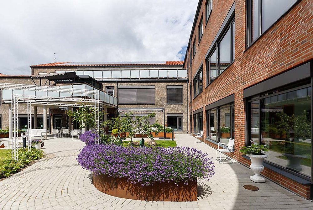 Vi möts av ljuvliga dofter från lavendel och rosor på
Soltoftas innergård.