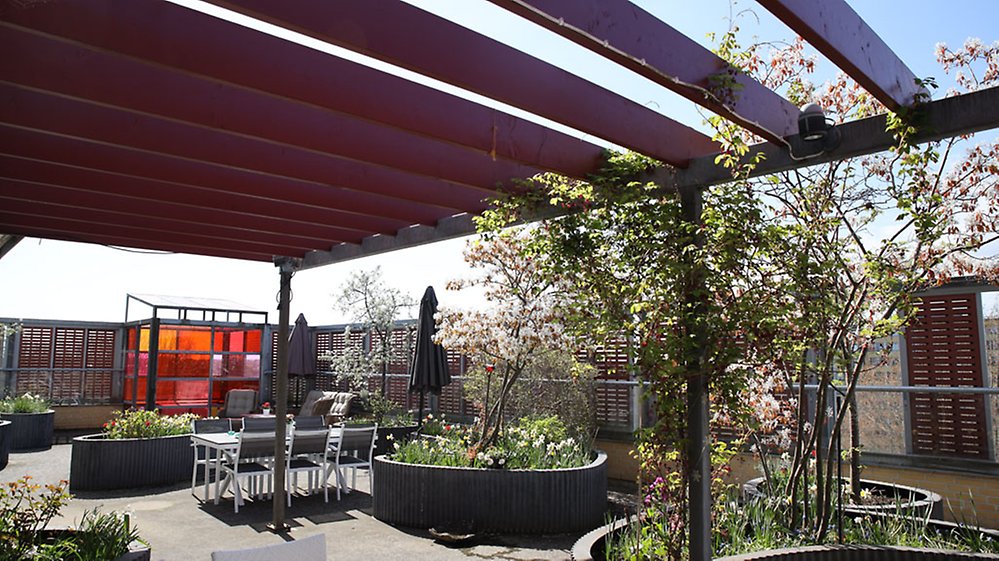 Ute på terrassen finns det både ljusrum och en pergola, och det
växer rosenbuskar och andra blommor i stora planteringslådor.