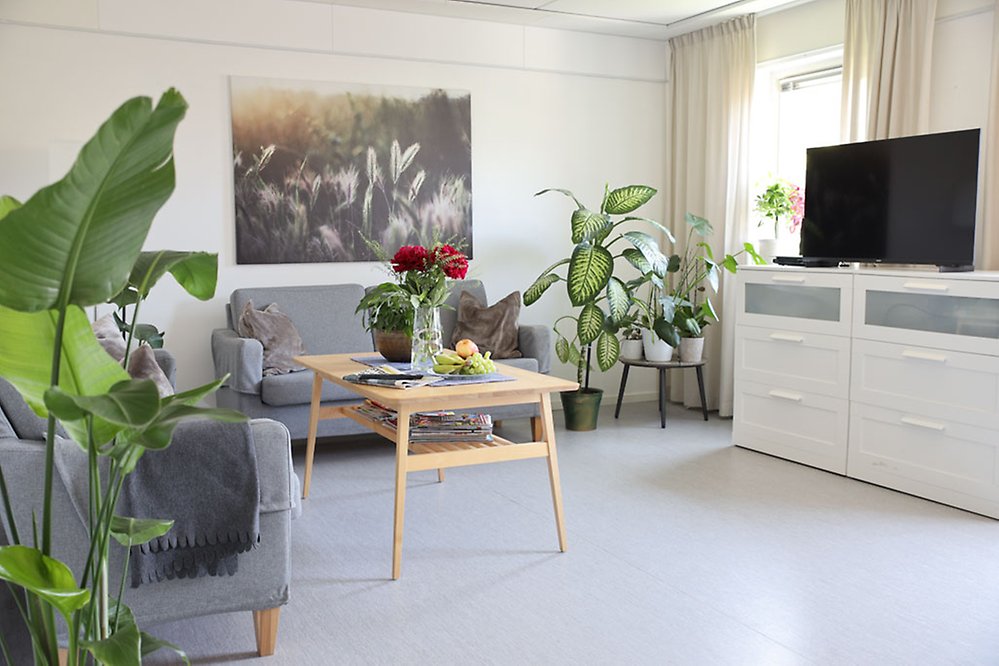 I gemenskapsrummet finns det två soffor där man kan sitta och titta på ett TV-program tillsammans. Rummet är ljust och får grönska av flera stora gröna växter på golvet, blommor på bordet och en tavla med ett sädesfält på väggen.