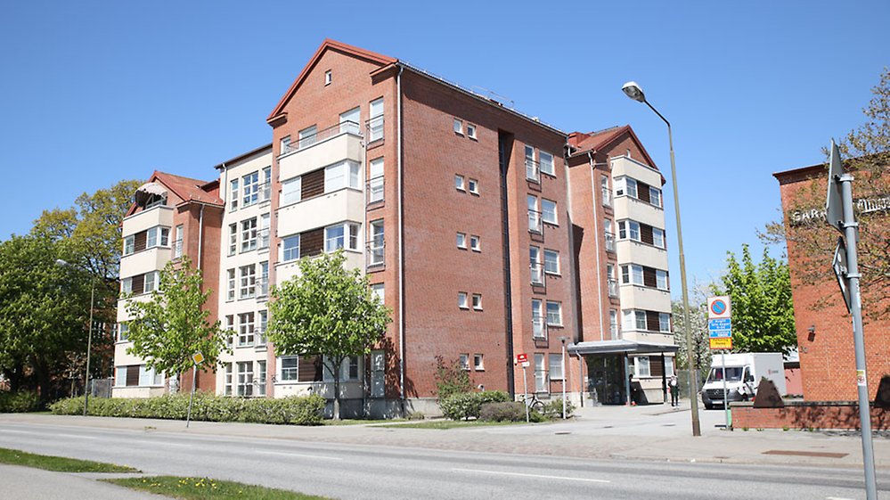 Trots att boendet ligger mot en väg är trädgården förvånansvärt lugn och lummig.